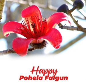 Happy Pohela Falgun